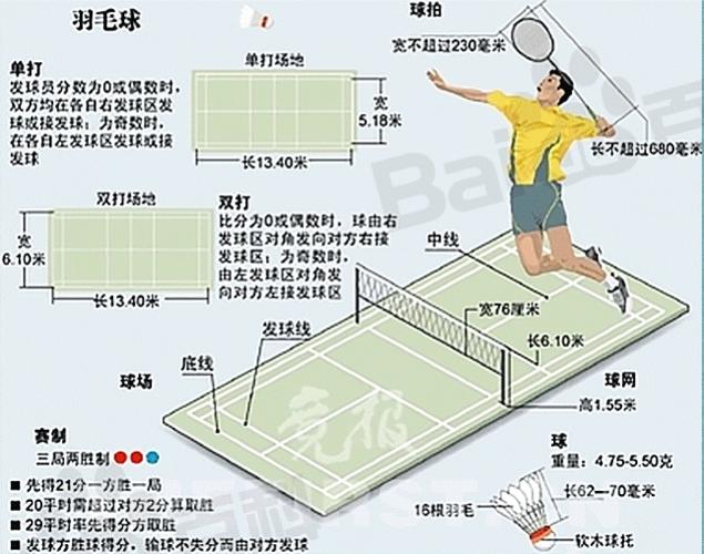 单打羽毛球发球规则界线